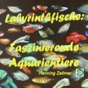 08.08.2019 - Labyrinthfische - faszinierende Aquarientiere