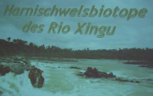 Vortrag von Andreas Tanke